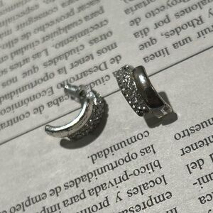 Elegant Silver Hoop Earrings